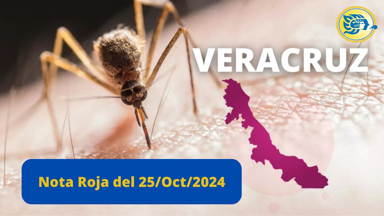 Resumen del 25 de Octubre