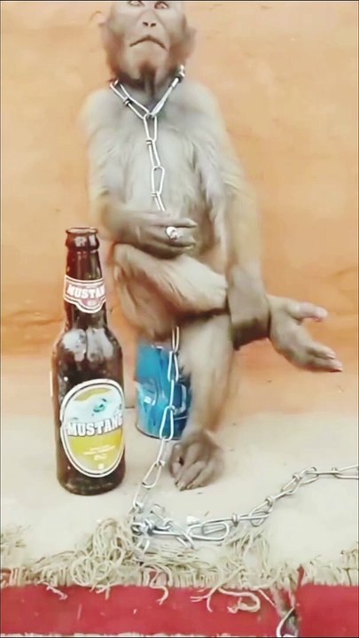 #monky heart break