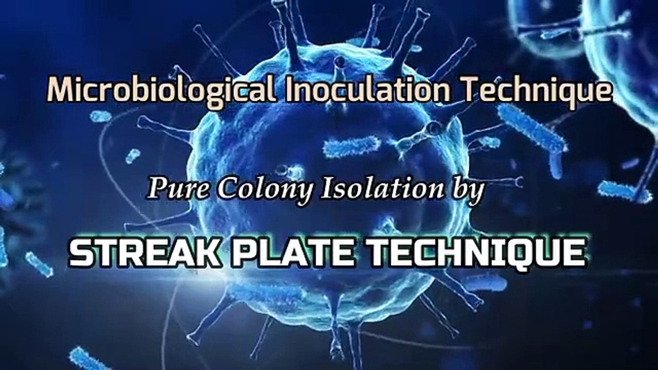 Streak_Plate_Technique_for_The_Isolation_of_Pure_Culture_A_Complete ...