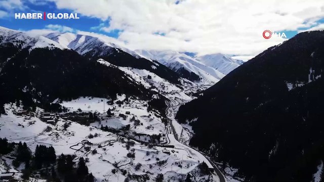 Kış uykusuna yatmayan ayı Kazıkbeli Yaylası'nda ‘pazara indi'