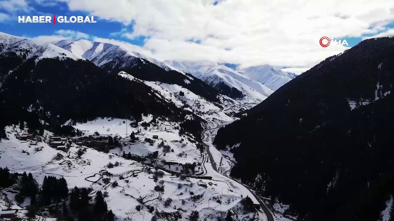 Kış uykusuna yatmayan ayı Kazıkbeli Yaylası'nda ‘pazara indi'