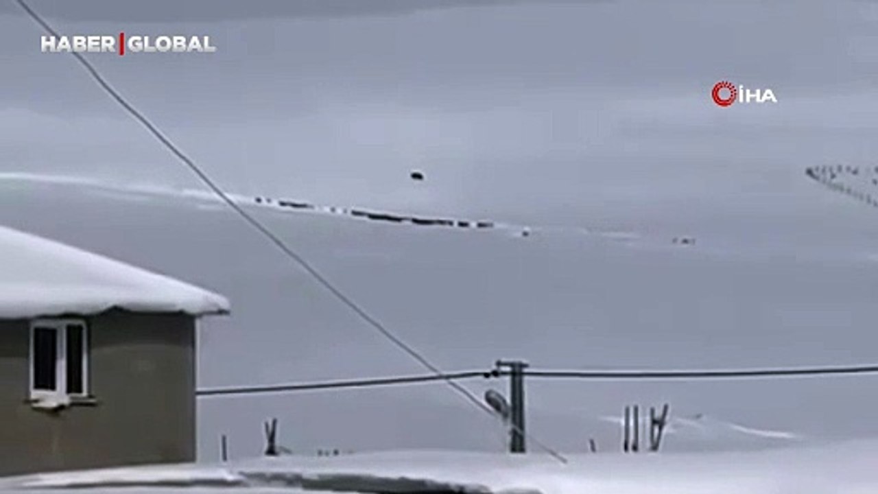 Kış uykusuna yatmayan ayıya "goca oğlan" diye seslendiler, ayı pazara indi