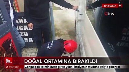 Zonguldak'ta minibüse giren yılan, itfaiyenin müdahalesiyle çıkarıldı