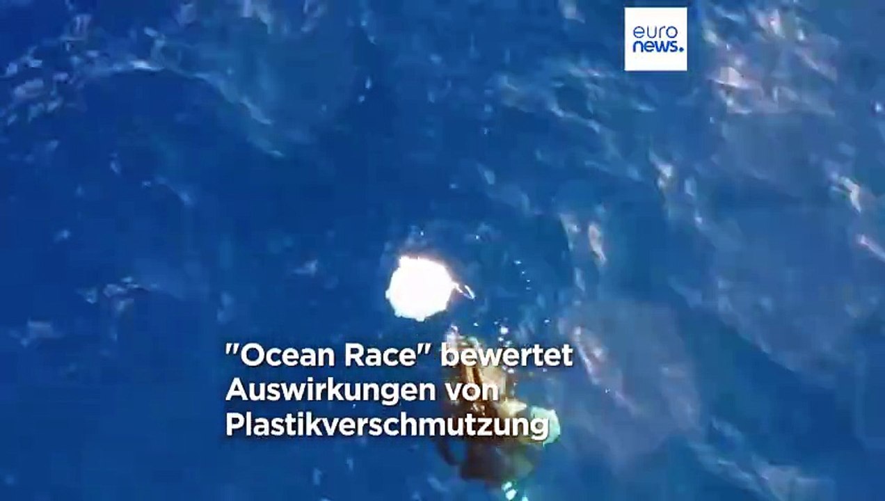 Die tödlichen Nachbarn der Meerestiere: Immer mehr Plastikmüll in den Ozeanen