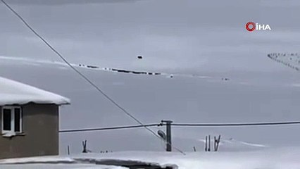 Kış uykusuna yatmadı, pazara indi!