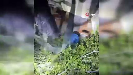 Mezarlıkta 3 kadını öldüren zanlı ''kirpi'' yuvasından çıktı