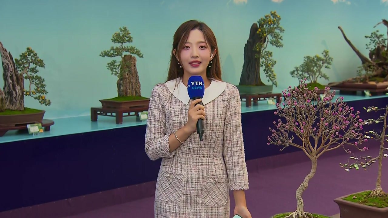가을 향 한가득 국화꽃 축제...휴일 나들이객 '북적' / YTN