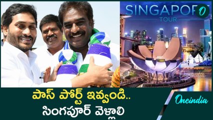 Pinnelli Ramakrishna Reddy: కోర్టును ఆశ్రయించిన పిన్నెల్లి.. పాస్ పోర్ట్ కావాలి | Oneindia Telugu