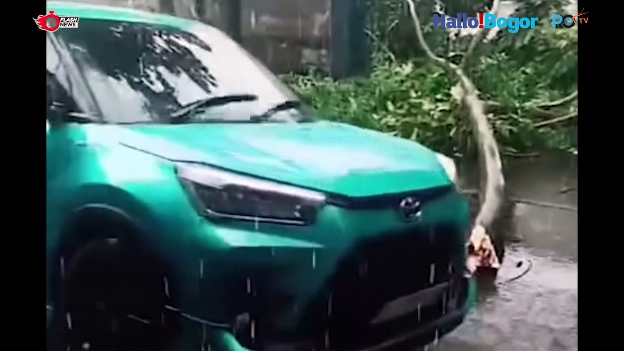 Hebat! Aksi Heroik Anak Sekolah Kawaluyaan Bantu mengayunkan Pohon Tumbang di Tengah Derasnya Hujan Bandung