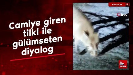 Erzurum'da camiye giren tilki ile gülümseten diyalog