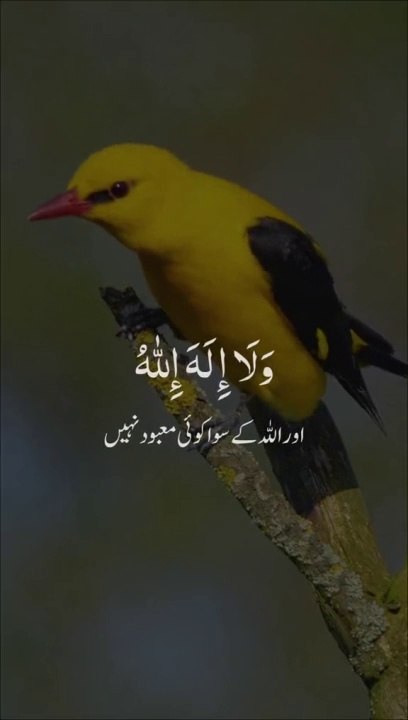 How to Islamic video#Islamic video#
