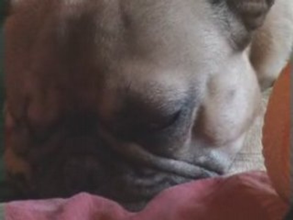 Yuna rêve et l'oeil tremble ! :D