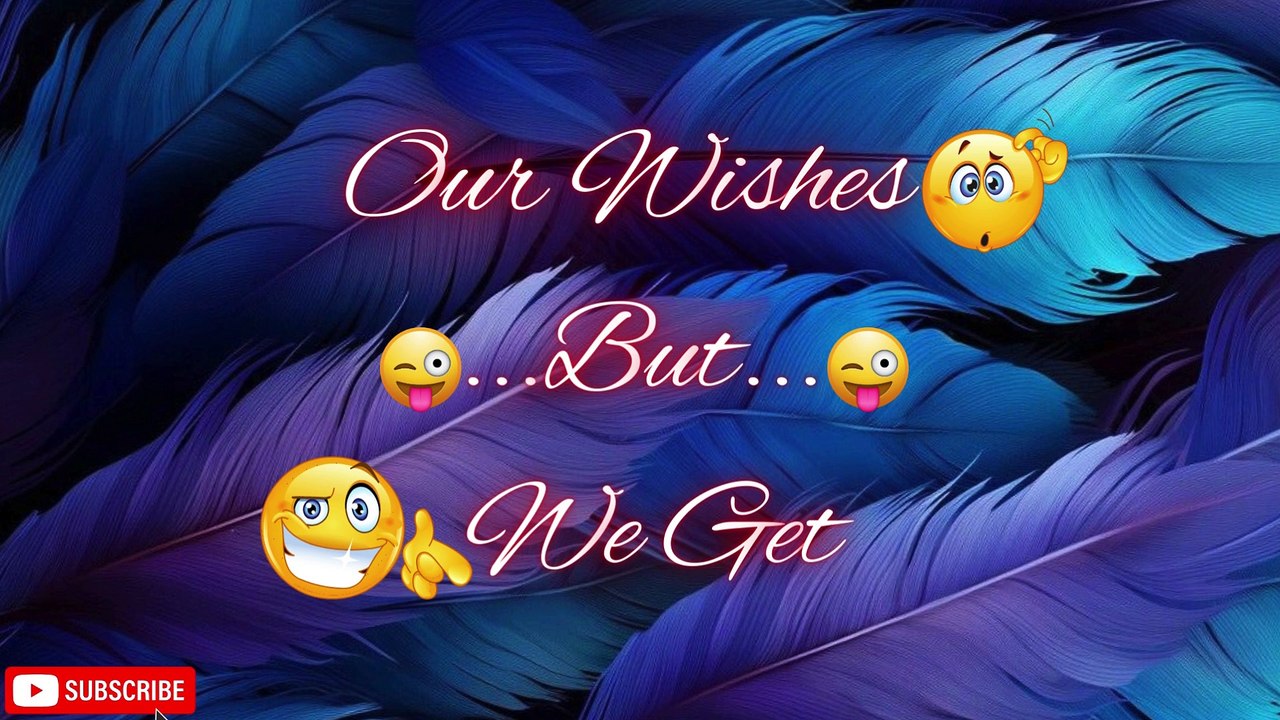 Our dreams But we get Funny Comparison By Amber Creations Style #dreams