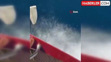 Yunuslar Tekne ile Yarıştı, Turistler O Anları Kaydetti