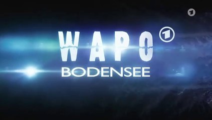 WaPo Bodensee -77- Im Nebel