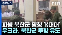 파병 북한군 명칭은 'K대대'...