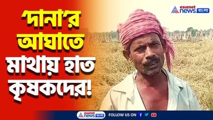 ‘দানা’র কবলে সব চাষ মাঠেই নষ্ট! ঋণমুক্তির আবেদন নদীয়ার চাষিদের!