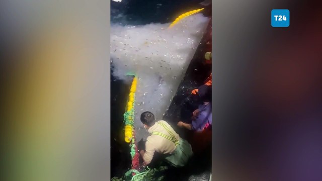 Marmara Denizi’nde balıkçı ağına köpek balığı takıldı