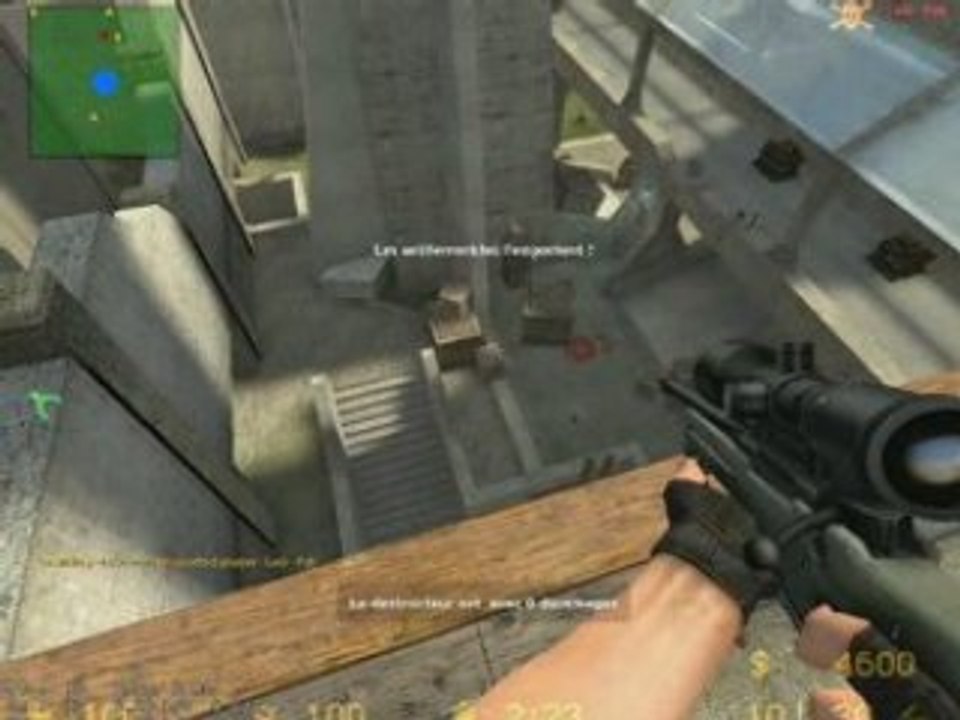 Pat est psylo