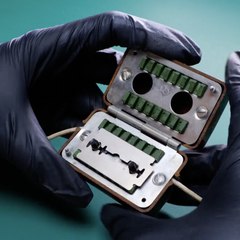 Découvrez la beauté intemporelle des objets anciens !