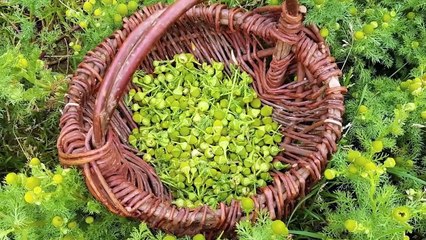 15 STRANGEST Valleys and Unique Ecosystems