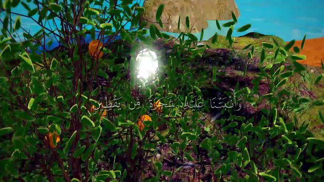 شجرة اليقطين التى سخرها الله لعلاج سيدنا يونس عليه السلام بعد خروجه من بطن الحوت #يونس_عليه_السلام