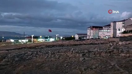 Binlerce karga gökyüzünü kapladı