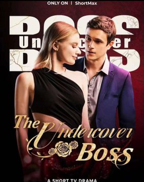 The Double Undercover Boss