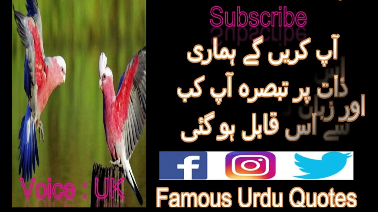 Best Urdu Quotes | Beautiful Collections Of Urdu Quotes | Hindi Quotes | Amazing Urdu Quotes