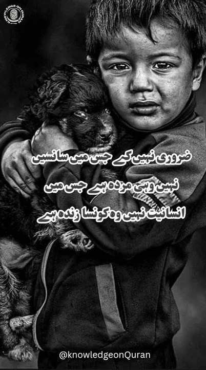 Motivational quotes for humanity