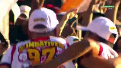 Zagueiro Wagner Leonardo é flagrado curtindo Vitória x Fluminense no meio da torcida