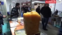 Ordu'da Arıcılık Fuarında İlgi Çeken Bal Döner