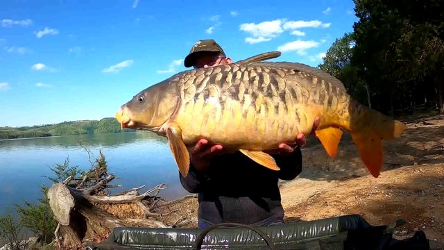 3 Day Back Country Camping & Fishing - 6 Yr Old Catches MONSTER CARP!