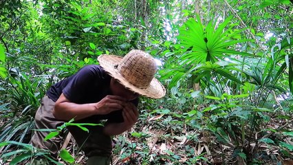 EP. 65 - Jornada para encontrar um novo abrigo