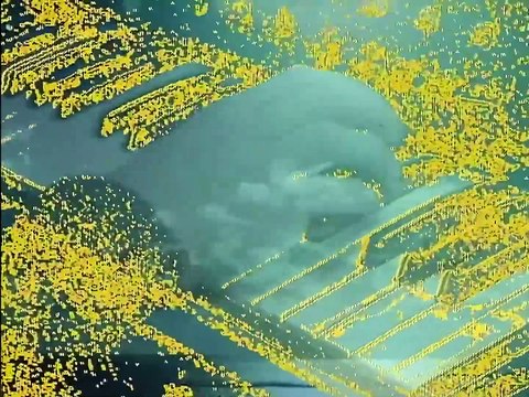 Orchestral Manoeuvres in the Dark: Enola Gay | movie | 1980 | Official Clip