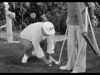 La Isla de Gilligan - S01E13 - Episodio 13