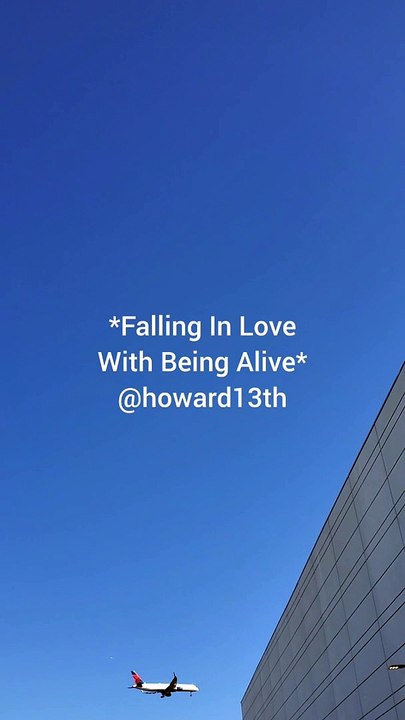 *Falling In Love With Being Alive* 10/11/2024