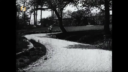 All Buster Keaton Stunts