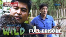 Endangered Wild Animals in Captivity  (Full Episode) | Born to be Wild