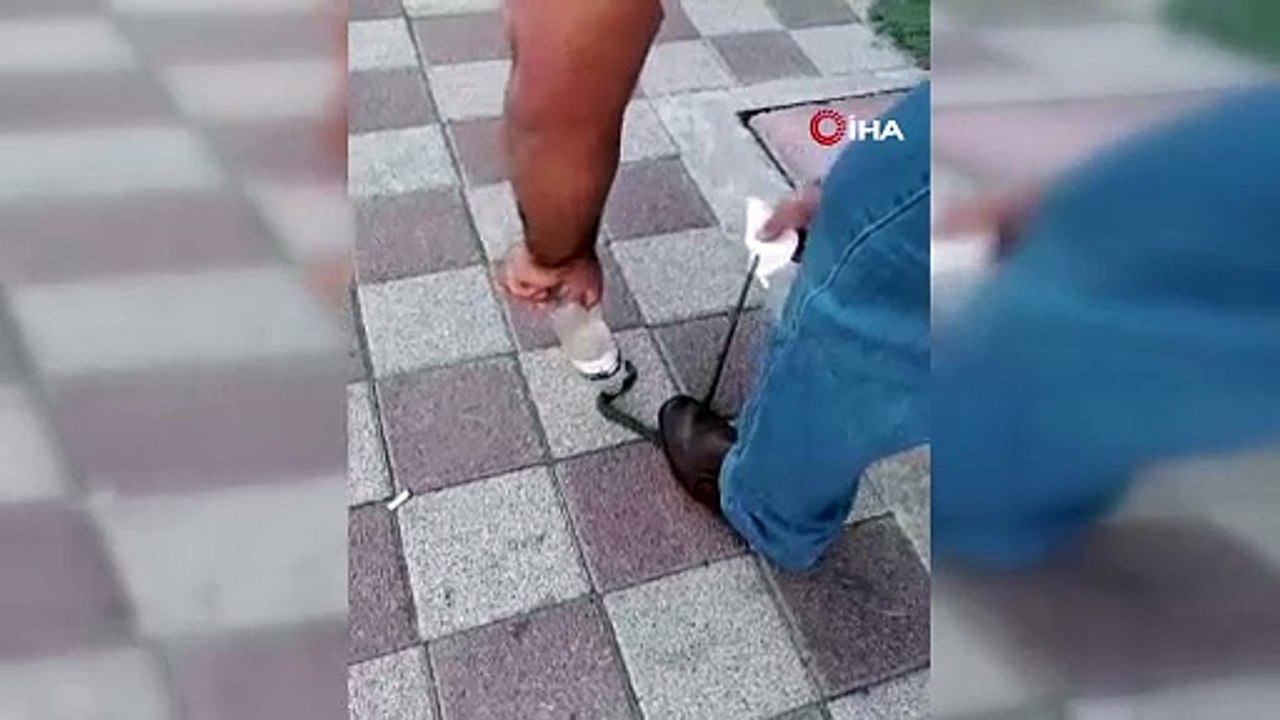 Bursa'da yılan paniği