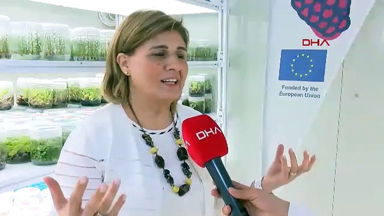 ADANA Prof. Dr. Kafkas: Türkiye, 'süper besin' mavi yemişi 7 bölgede üretme potansiyeline sahip (VİDEO EKLENDİ)