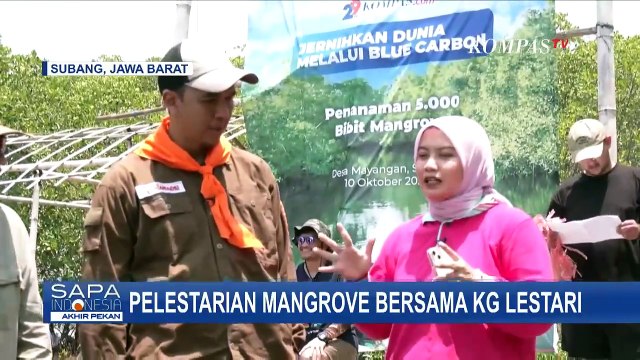 Upaya Pelestarian Lingkungan, KG Lestari Gelar Kegiatan Tanam 5.000 Bibit Mangrove di Subang