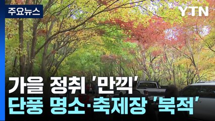 단풍·국화 즐기며 추억도 쌓고...가을 정취 '만끽' / YTN