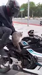 Good Vibe #Velocity Edit