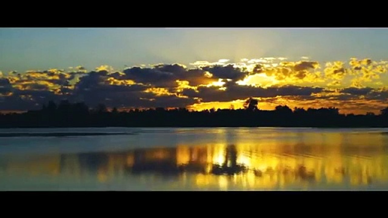 VER DON NADIE PELICULA COMPLETA EN ESPANYOL