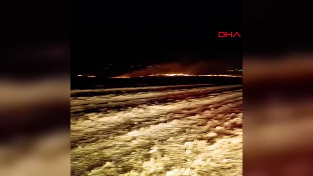 Anız yangında 100 dönümlük alan zarar gördü