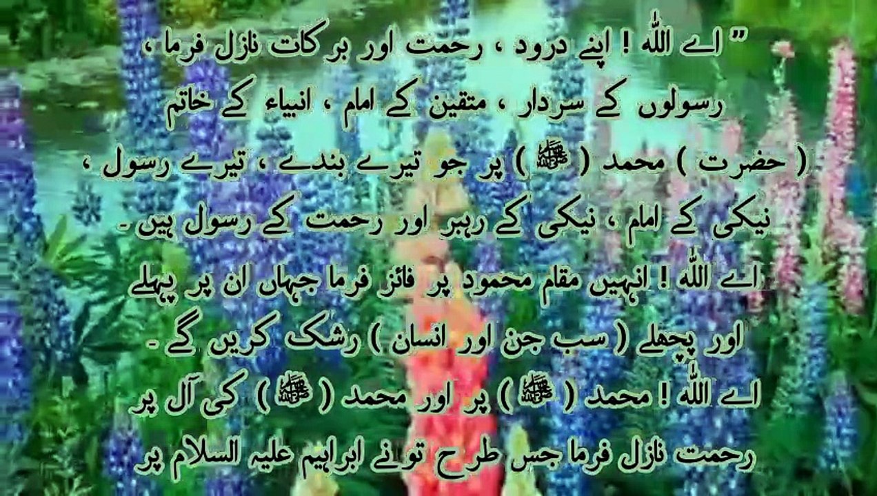 Entertainment of Islam