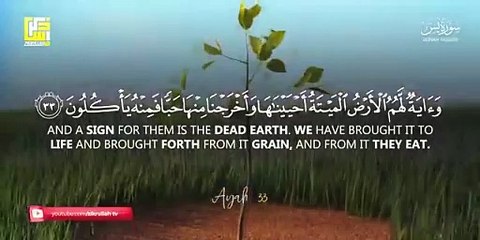 Most beautiful recitation of Surah Yaseen (Yasin) سورة يس ⋮ Zikrullah TV