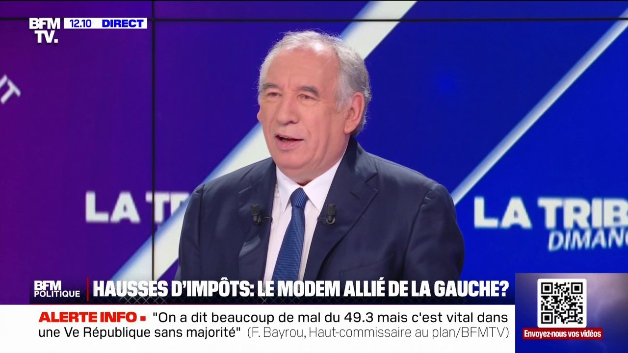 François Bayrou (Modem): "Les parlementaires ne sont pas des exécutants  "