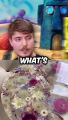 MrBeast Helps SpongeBob Find Gary with a Magical Map! ✨ #shorts